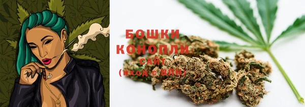 шишки Верхний Тагил