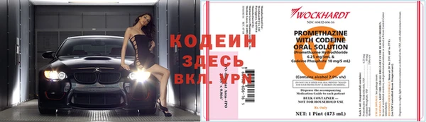 шишки Верхний Тагил