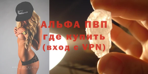 шишки Верхний Тагил