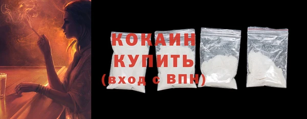 шишки Верхний Тагил