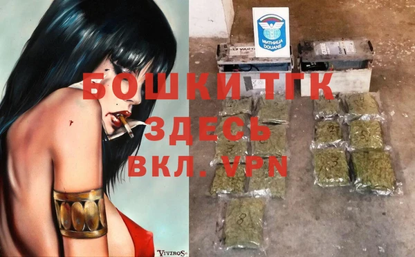 шишки Верхний Тагил