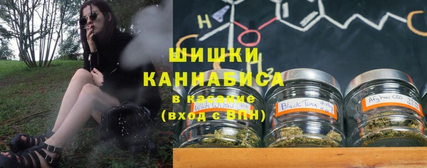 шишки Верхний Тагил