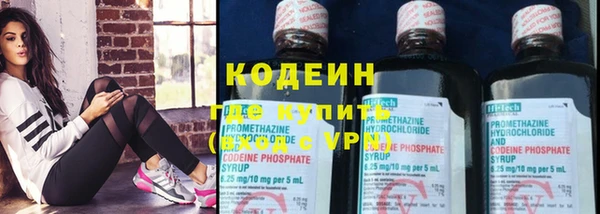шишки Верхний Тагил