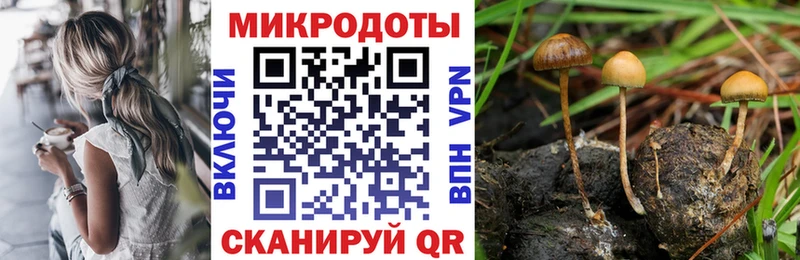 Псилоцибиновые грибы мухоморы  Верхоянск 